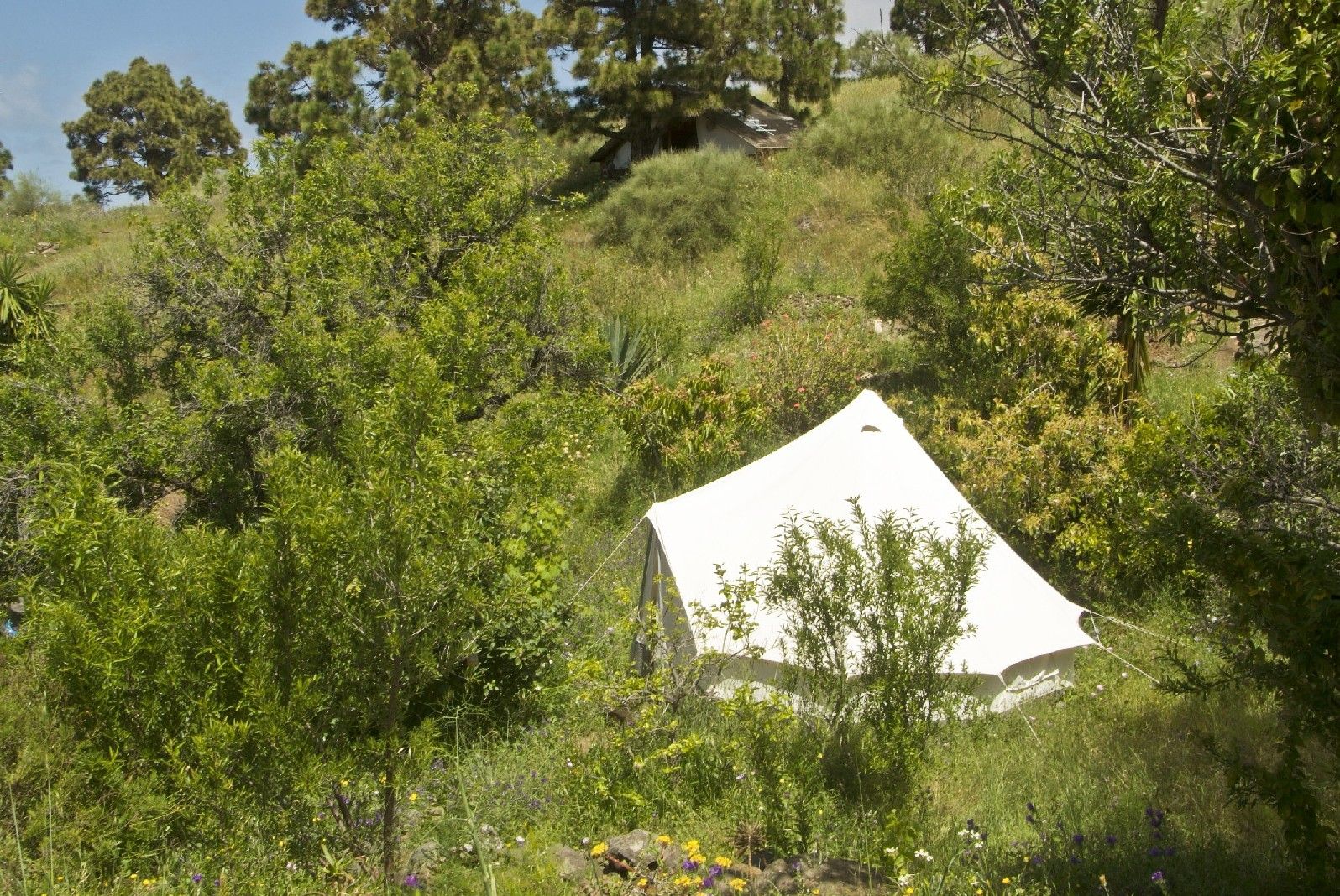 Das Baumwollzelt von außen